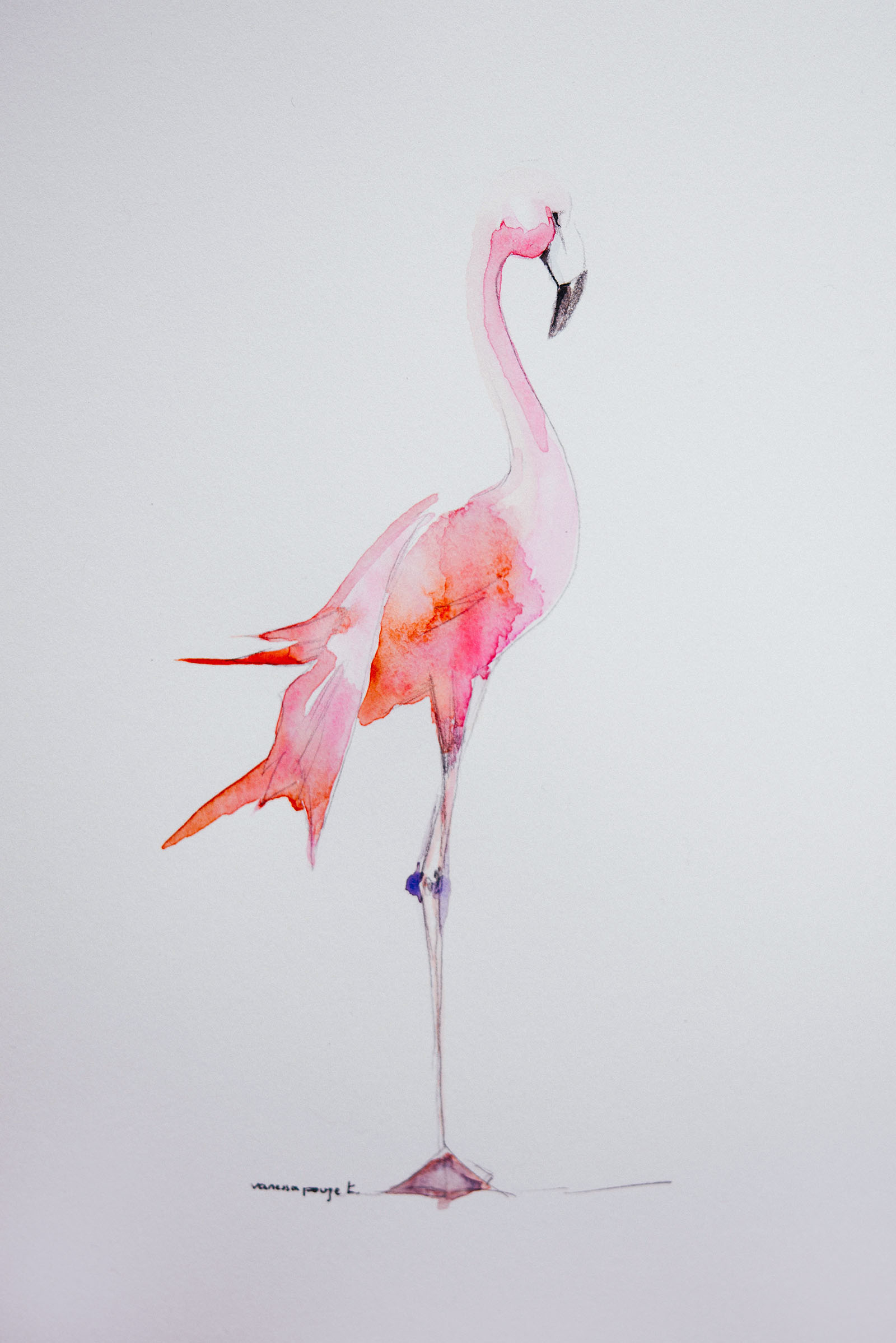 Flamingo-vanessapouzet